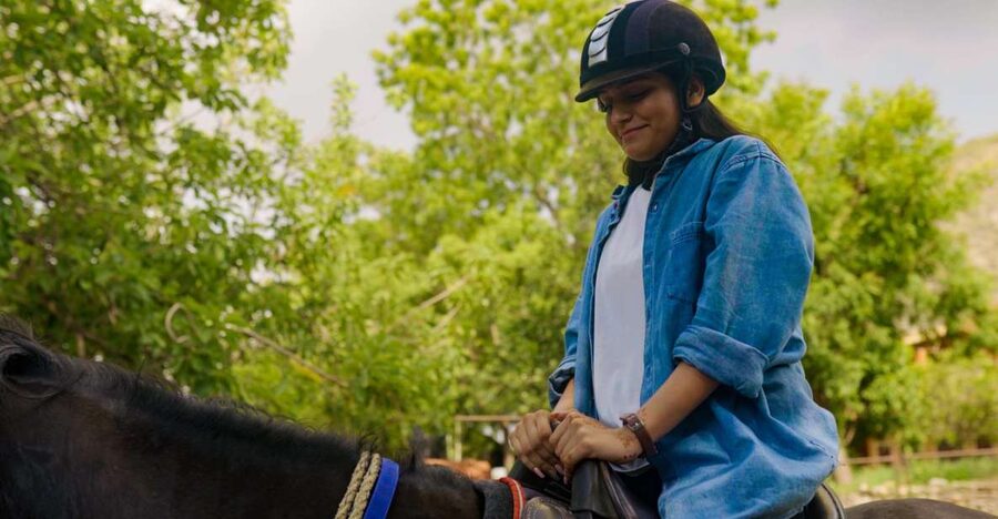 Equestrian Escape: Horse Safari Adventure - Entering the Stud Farm World Near Udaipur