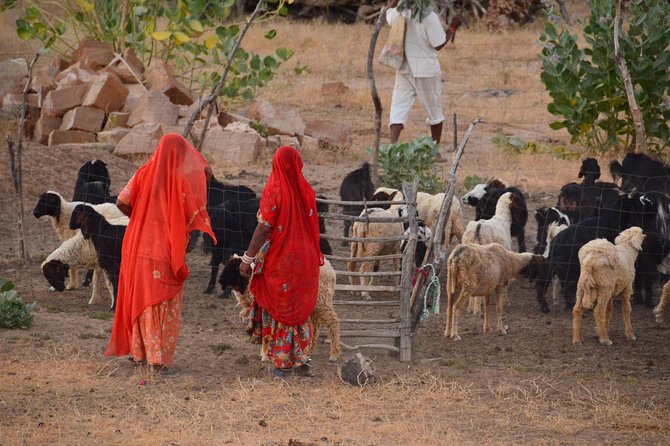Experience Authentic Desert Villages & Sunset Camel Safari - Key highlights to look for