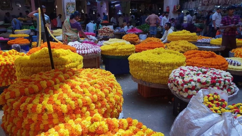 Experience Bangalore - Evening City Walk Tour & Market Visit - Entering Bangalore at 6:00 PM, when the city feels walkable
