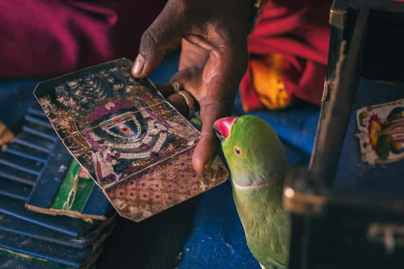 Experience Bangalore - Evening City Walk Tour & Market Visit - Bangalore Fort: the short stop that adds a historic thread