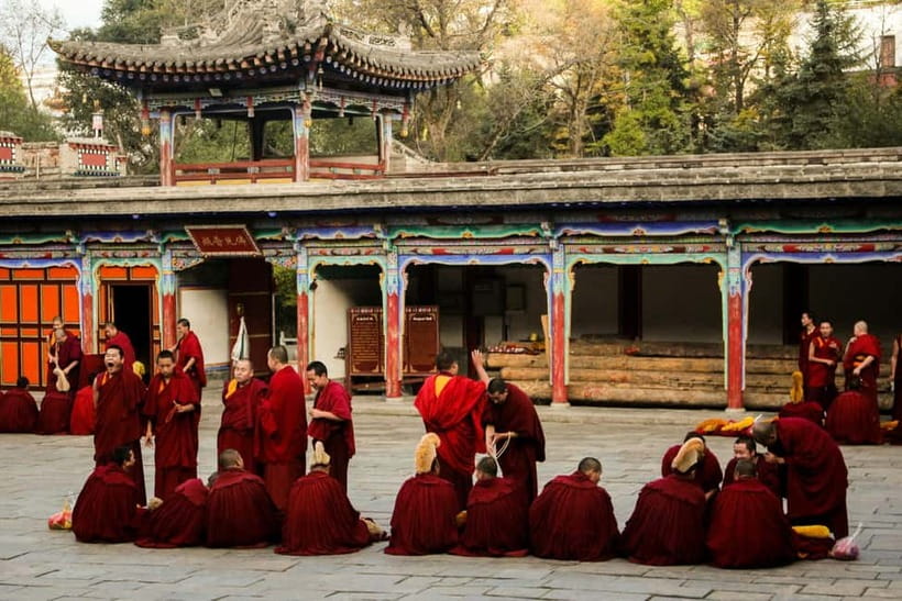 Explore Dharamshala's monasteries for Tibetan spirituality - Key highlights to look for on this Dharamshala monastery circuit