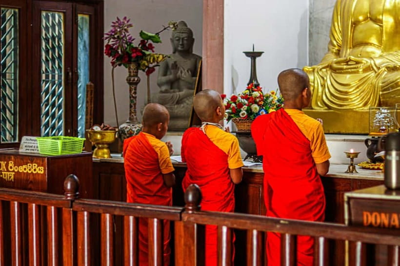 Explore Dharamshala's monasteries for Tibetan spirituality - Gyuto Monastery, tantric teachings and daily practice rhythm