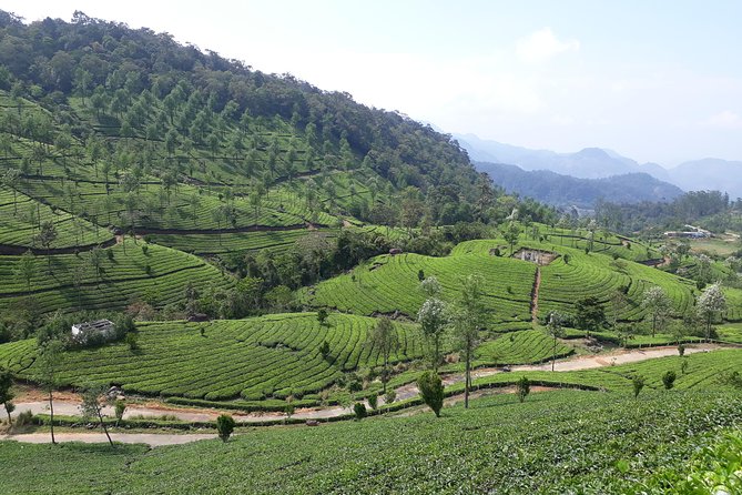 Explore Munnar Day Trip From Cochin ( By Munnar Info) - Cheeyappara Waterfalls and Valara Waterfalls, Two Stops for Nature Photos
