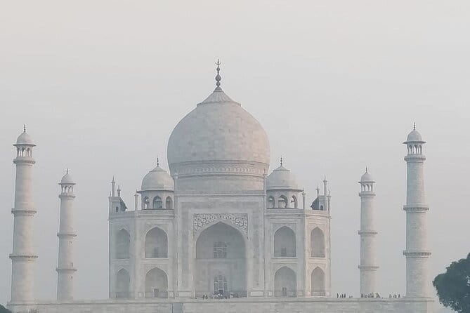 Explore Private Tour The Golden Triangle Done Differently - Price and what makes it feel worth the $224.71
