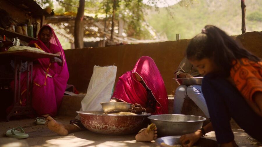 Farm to Table: With a local farmer family - Farm welcome plus a short walk to temples and devras