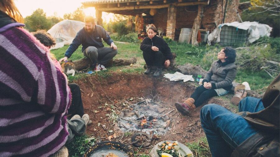Farm to Table: With a local farmer family - Learning farming hands-on, from mustard fields to chickpea flour