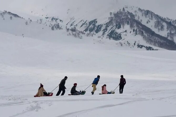 Fascinating Kashmir 4 Nights / 5 Days - Dal Lake shikara and Srinagar gardens: the classic Kashmir hits, timed well
