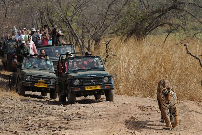 Five Days Golden Triangle Tour with Ranthambore Delhi Agra Jaipur - Day 1 in Delhi: Lutyens Delhi and India Gate with airport or hotel pickup