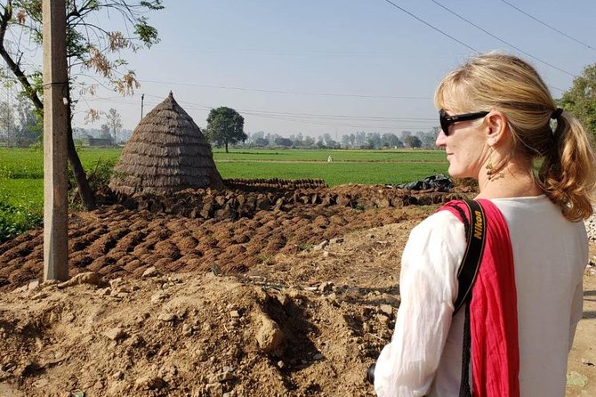 Food Tour With Cooking Class in Local Village from Delhi - The village-food-cooking flow that makes this day feel worth it