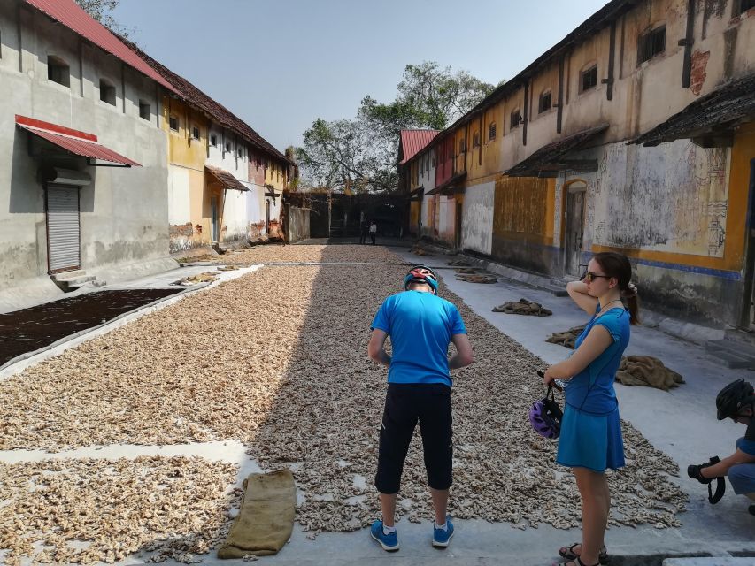 Fort Kochi Heritage Day Cycling Tour - Monuments that actually explain the neighborhood: St. Francis, Paradesi Synagogue, Mattancherry Palace