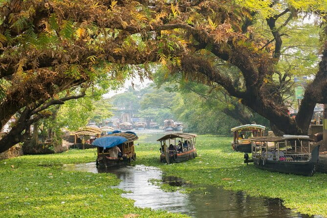 Fort Kochi Tour by Tuk Tuk for Cruise Passengers - Dutch Cemetery Road: a quiet checkpoint of colonial-era traces
