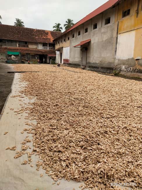 Fortkochi Heritage Walking tour with a local guide - Spice trade legacy: ginger warehouses and how trade shaped daily work