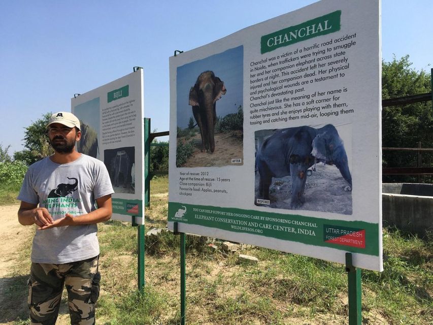 From Agra: Visit to Wildlife SOS Elephant Conservation Trip - The 2-hour center visit, what you’ll do inside