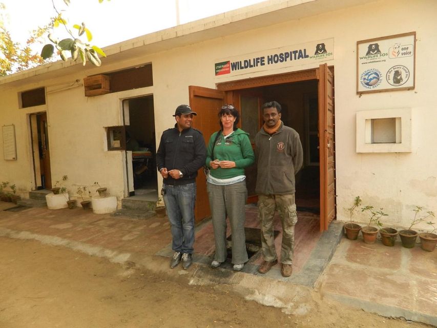 From Agra: Visit to Wildlife SOS Elephant Conservation Trip - Respectful distance and why it changes the whole feel