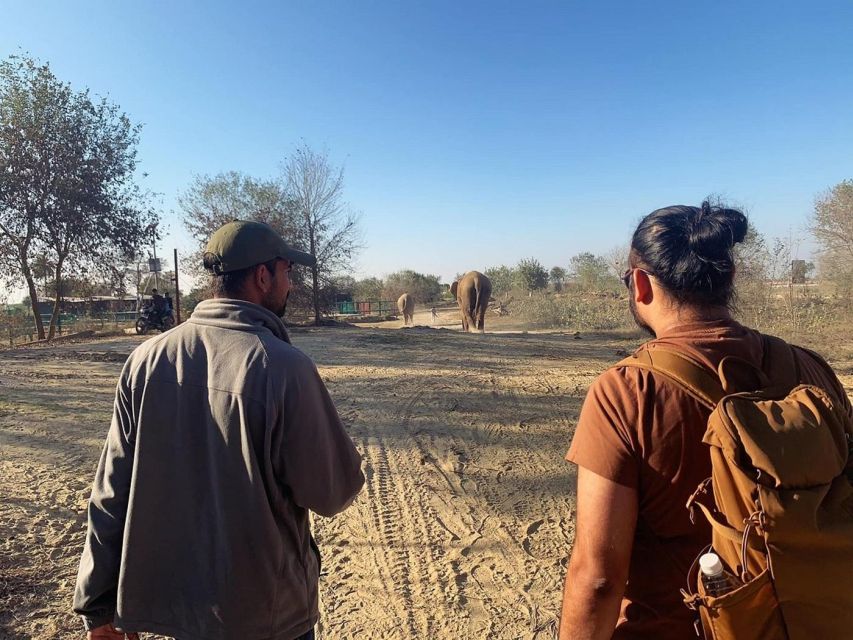 From Agra: Visit to Wildlife SOS Elephant Conservation Trip - Timing, comfort, and what to bring
