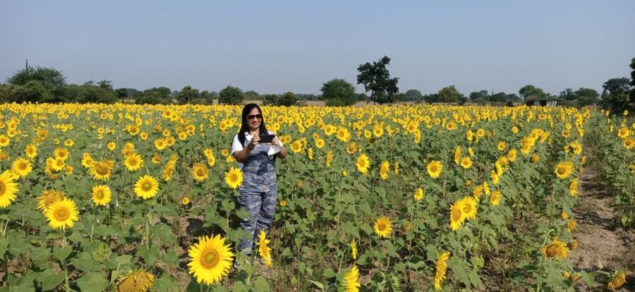 From Aurangabad: 2-Day Ajanta and Ellora Caves Private Tour - What You Actually Get for the Price (And What You Still Pay)