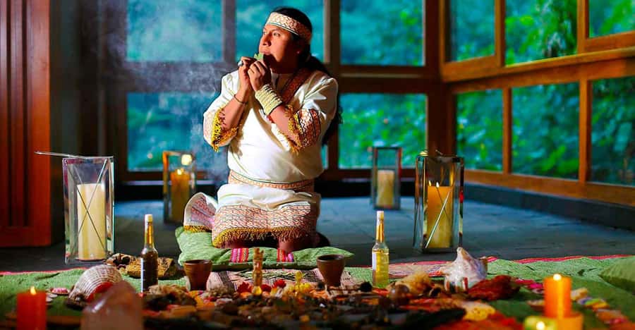 From Cochin: 4-Night/5-Day Kerala Tour - Hotels and driver quality: what you should check mentally before you go
