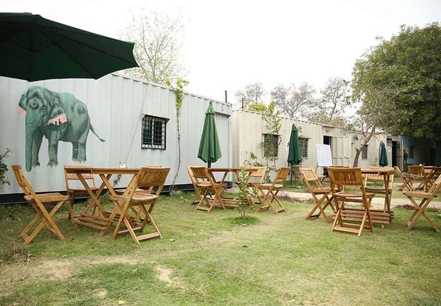 From Delhi : Elephant Conservation and Care Centre -Wildlife - Should you book the Delhi to Wildlife SOS elephant care centre day trip?