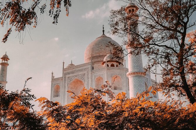 From Delhi : Private Day Trip to Taj Mahal & Agra Fort by Car - All Inclusive - The Biggest Pros (Based on What People Applaud)