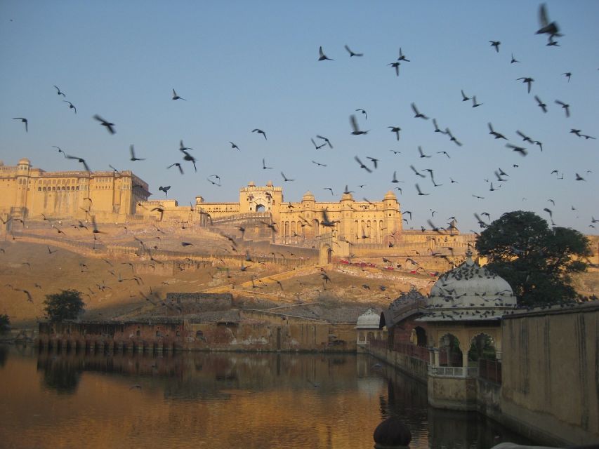 From Delhi: Private Jaipur & Amber Fort Guided Tour by Car - Price and value: why this seems like a steal, but check inclusions