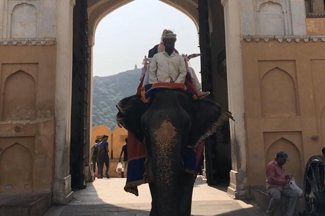 From Delhi: Private Jaipur Tour by Car - All Inclusive - Entering Amber Palace at a Fortress Pace (1 Hour)