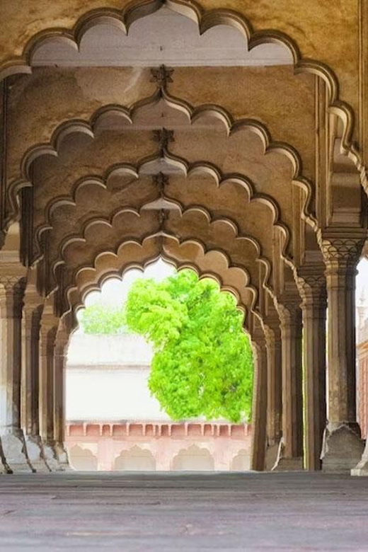 From Delhi: Private Taj Mahal & Agra Tour with 5<em> Lunch – Key Things You’ll Notice on This Private Taj and Agra Day’ /></p>
<ul>
<li><strong>Private car comfort</strong> between Delhi and Agra, with tolls covered and bottled water provided</li>
<li><strong>Guides with strong storytelling</strong>, including names like Amir, Rashid, Kashif, Shuaib, Kamran, and Abdul</li>
<li><strong>Agra Fort time that goes beyond photos</strong>, with gardens and Mughal-era halls</li>
<li><strong>Baby Taj as a calmer finale</strong>, perfect for slower walking and details</li>
<li><strong>5-star buffet lunch option</strong> that turns the day from sightseeing into a real meal break</li>
</ul>
<div class="twil" style="margin: 20px 0; padding: 15px 0;"><p>Still choosing your Taj Mahal ticket? Compare these</p><ul style="margin: 10px 0; padding: 0; list-style: none; display: grid; grid-template-columns: repeat(auto-fill, minmax(250px, 1fr)); gap: 14px;"><li style="border: 1px solid #e5e5e5; border-radius: 8px; overflow: hidden; line-height: 1.4; background: #fff;"><a href="https://indiatourreviews.com/same-day-taj-mahal-agra-fort-baby-taj-tour-from-delhi-by-car/" aria-hidden="true" tabindex="-1"><img decoding="async" style="width: 100%; height: 150px; object-fit: cover; display: block;" src="https://asset.indiatourreviews.com/wp-content/uploads/same-day-taj-mahal-agra-fort-baby-taj-tour-from-delhi-by-car-400x267.jpg" alt="" loading="lazy"></a><div style="padding: 10px 12px;"><a href="https://indiatourreviews.com/same-day-taj-mahal-agra-fort-baby-taj-tour-from-delhi-by-car/" style="font-weight: 600;">Same Day Taj Mahal, Agra Fort & Baby Taj Tour from Delhi by Car</a><br><span style="font-size: 0.82em; color: #555; margin-top: 4px;"><span style="color: #A62B4C;">★</span> 5.0 &middot; 4,304 reviews</span></div></li><li style="border: 1px solid #e5e5e5; border-radius: 8px; overflow: hidden; line-height: 1.4; background: #fff;"><a href="https://indiatourreviews.com/taj-mahal-day-tour-from-delhi-by-superfast-train-top-rated-tour/" aria-hidden="true" tabindex="-1"><img decoding="async" style="width: 100%; height: 150px; object-fit: cover; display: block;" src="https://asset.indiatourreviews.com/wp-content/uploads/taj-mahal-day-tour-from-delhi-by-superfast-train-top-rated-tour-400x267.jpg" alt="" loading="lazy"></a><div style="padding: 10px 12px;"><a href="https://indiatourreviews.com/taj-mahal-day-tour-from-delhi-by-superfast-train-top-rated-tour/" style="font-weight: 600;">Taj Mahal Day Tour from Delhi by Superfast Train – TOP RATED TOUR</a><br><span style="font-size: 0.82em; color: #555; margin-top: 4px;"><span style="color: #A62B4C;">★</span> 5.0 &middot; 4,166 reviews</span></div></li><li style="border: 1px solid #e5e5e5; border-radius: 8px; overflow: hidden; line-height: 1.4; background: #fff;"><a href="https://indiatourreviews.com/full-day-taj-mahal-agra-fort-baby-taj-tour-from-delhi-by-car/" aria-hidden="true" tabindex="-1"><img decoding="async" style="width: 100%; height: 150px; object-fit: cover; display: block;" src="https://asset.indiatourreviews.com/wp-content/uploads/full-day-taj-mahal-agra-fort-baby-taj-tour-from-delhi-by-car-400x267.jpg" alt="" loading="lazy"></a><div style="padding: 10px 12px;"><a href="https://indiatourreviews.com/full-day-taj-mahal-agra-fort-baby-taj-tour-from-delhi-by-car/" style="font-weight: 600;">Full Day Taj Mahal, Agra Fort & Baby Taj Tour from Delhi by Car</a><br><span style="font-size: 0.82em; color: #555; margin-top: 4px;"><span style="color: #A62B4C;">★</span> 5.0 &middot; 3,647 reviews</span></div></li><li style="border: 1px solid #e5e5e5; border-radius: 8px; overflow: hidden; line-height: 1.4; background: #fff;"><a href="https://indiatourreviews.com/from-delhi-taj-mahal-agra-private-day-trip-with-transfers/" aria-hidden="true" tabindex="-1"><img decoding="async" style="width: 100%; height: 150px; object-fit: cover; display: block;" src="https://asset.indiatourreviews.com/wp-content/uploads/from-delhi-taj-mahal-agra-private-day-trip-with-transfers-400x267.jpg" alt="" loading="lazy"></a><div style="padding: 10px 12px;"><a href="https://indiatourreviews.com/from-delhi-taj-mahal-agra-private-day-trip-with-transfers/" style="font-weight: 600;">From Delhi: Taj Mahal & Agra Private Day Trip with Transfers</a><br><span style="font-size: 0.82em; color: #555; margin-top: 4px;"><span style="color: #A62B4C;">★</span> 4.9 &middot; 3,181 reviews</span></div></li></ul></div><h2 id="why-a-private-delhi-to-agra-car-ride-changes-the-whole-day">Why a Private Delhi to Agra Car Ride Changes the Whole Day</h2>
<p><img width="820" height="615" decoding="async" src=