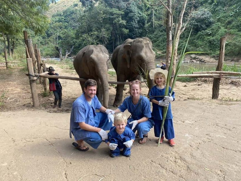 From Delhi: Sunrise Taj Mahal Tour with Elephant SOS Center - Key highlights you should plan around