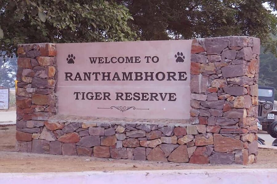 From Jaipur: Praivte Ranthambore Tour By Jeep Canter Safari - Key things that make this day trip work