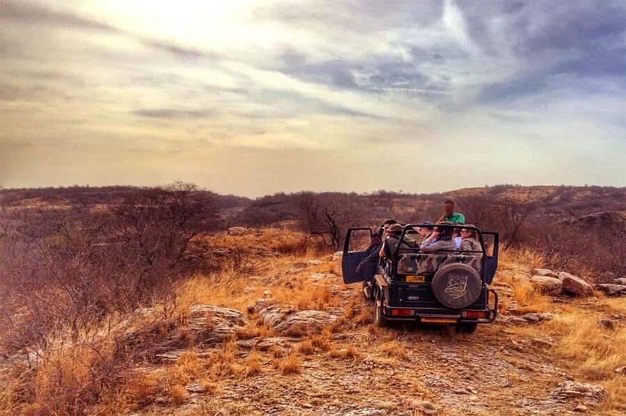From Jaipur: Praivte Ranthambore Tour By Jeep Canter Safari - Getting from Jaipur to Sawai Madhopur: the comfort part