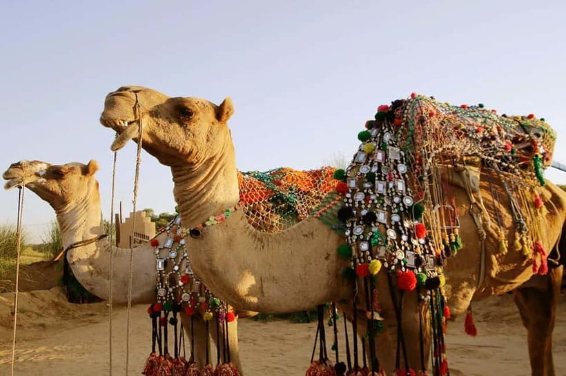 From Jaipur : Private Ajmer Pushkar Tour by Cab - Timing and Value: The Real Math Behind $12 Per Person