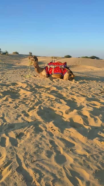 From Jaipur : Private Ajmer Pushkar Tour by Cab - Should You Book This Jaipur Private Ajmer Pushkar Tour?