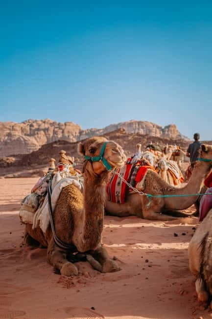 From Jaipur: Pushkar and Ajmer Private Day Trip - Jaipur to Pushkar and Ajmer in one day, what this plan is really like