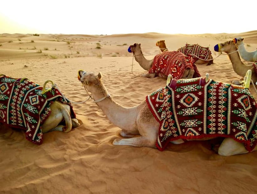 From Jaipur: Pushkar and Ajmer Private Day Trip - Pushkar first, what the lake town feels like and why it matters