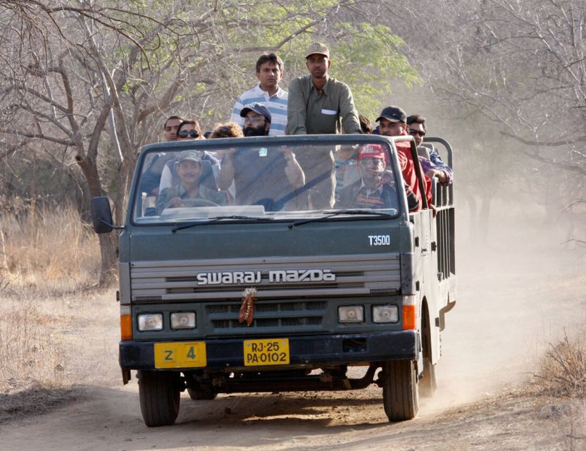 From Jaipur: Ranthambore Tour with Cab - Jaipur to Ranthambore by private cab: comfort that actually matters