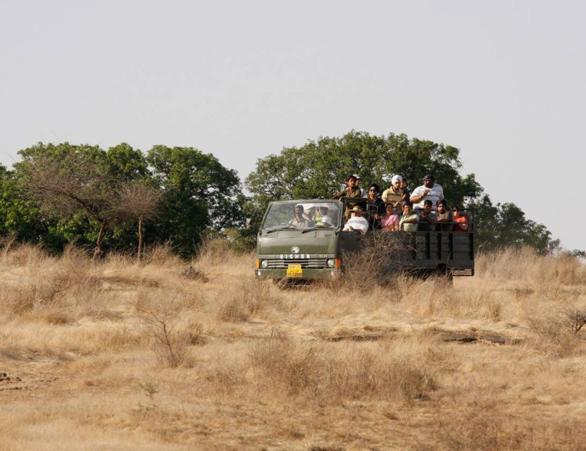 From Jaipur: Ranthambore Tour with Cab - Inside Ranthambore: what a 3 to 4 hour safari feels like