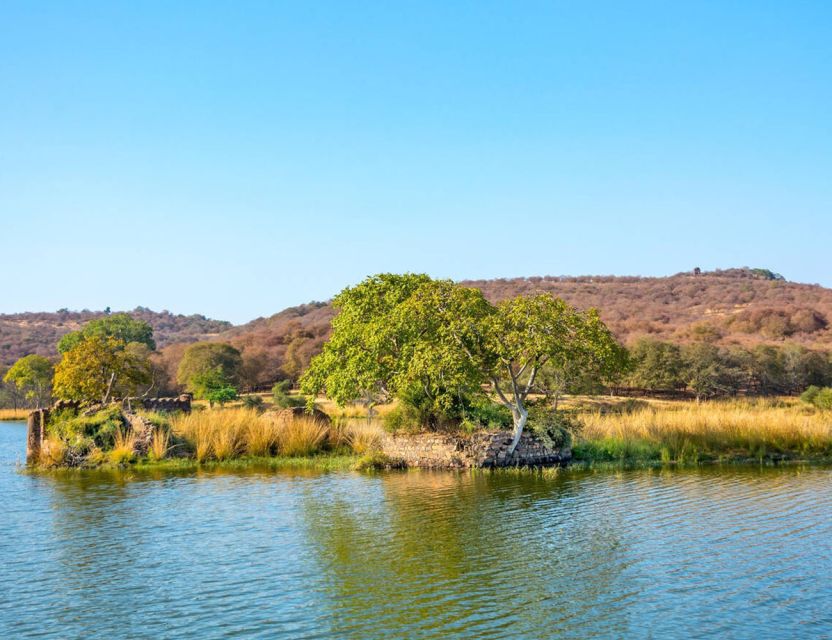 From Jaipur: Ranthambore Tour with Cab - The return drive and how to handle food during a long day