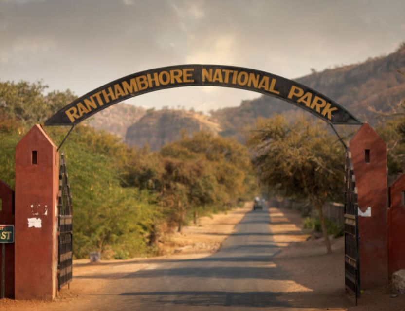 From Jaipur: Ranthambore Tour with Cab - Who should book this Jaipur to Ranthambore day trip by cab