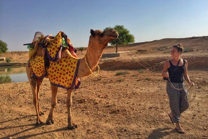 From Jodhpur : Overnight Stay In Desert With Camel Safari - Sunset Camel Safari in the Great Indian Desert