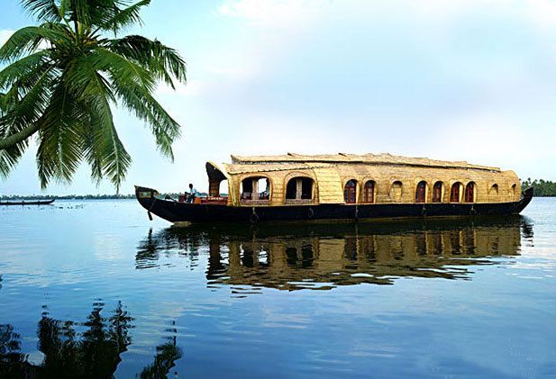 From Kochi: 2-Day 1-Night Alappuzha Private Houseboat Cruise - From Kochi to Alappuzha: the smooth start that matters
