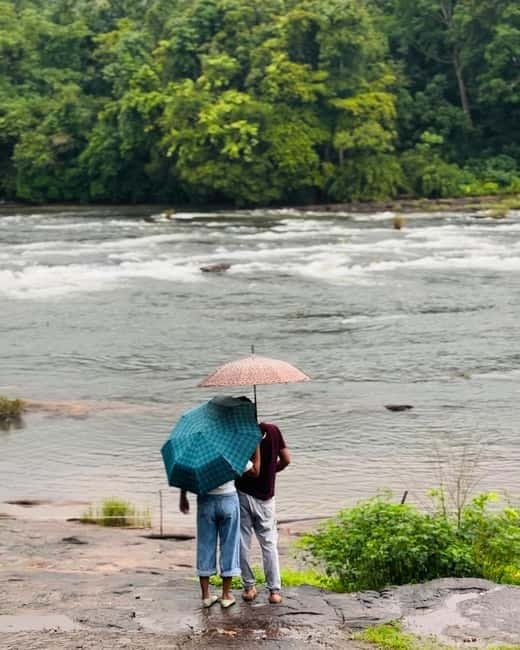 From Kochi: Athirappilly Waterfalls Day Trip with Transfers - From Ernakulam pickup to Athirappilly, the road trip part matters