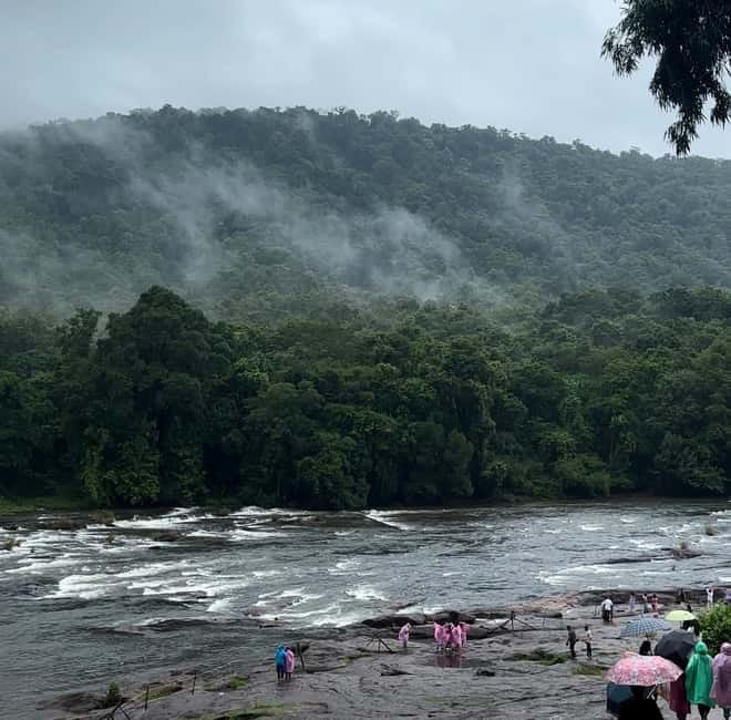 From Kochi: Athirappilly Waterfalls Day Trip with Transfers - Wildlife and birds: why this area feels special