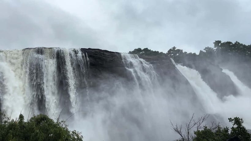 From Kochi: Athirappilly Waterfalls Day Trip with Transfers - Getting context from an English driver, especially about local plantations