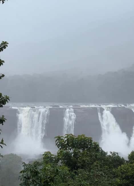 From Kochi: Athirappilly Waterfalls Day Trip with Transfers - Weather, timing, and how to pace your day