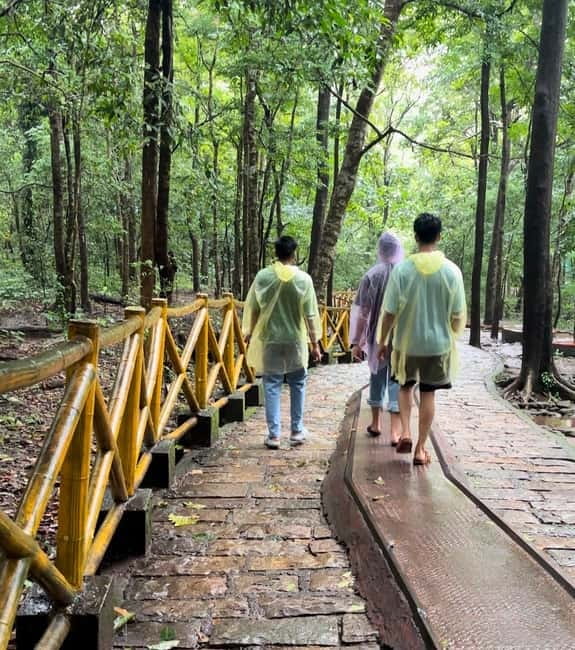 From Kochi: Athirappilly Waterfalls Day Trip with Transfers - Who this trip suits best