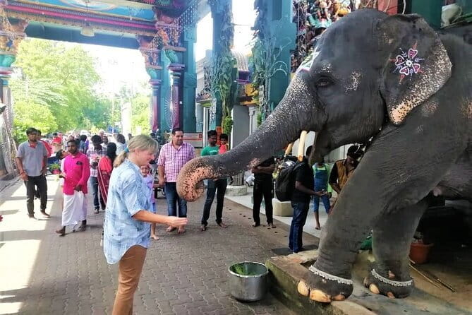 Full Day Guided Tour of Pondicherry with lunch and hotel pickup - Key things to know before you go