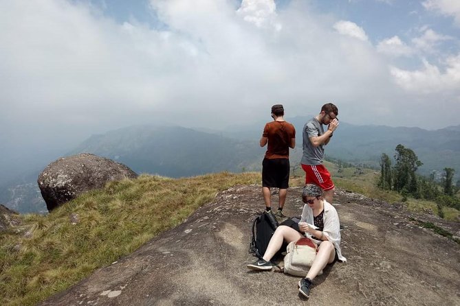 Full day in hiking in Munnar (By Munnar Info) - Key Highlights You’ll Actually Care About