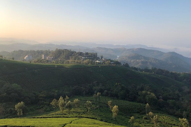Full day in hiking in Munnar (By Munnar Info) - Getting There From Munnar Info, Then Into the Walk
