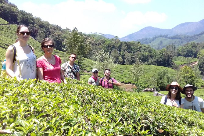 Full day in hiking in Munnar (By Munnar Info) - Guided Trekking Adventure: 2 Hours That Keeps You On Route