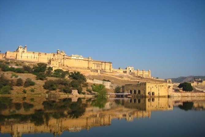 Full-Day Jaipur City Tour with Amber Fort and City Palace - Jal Mahal photo stop: pretty views, but check the lake conditions