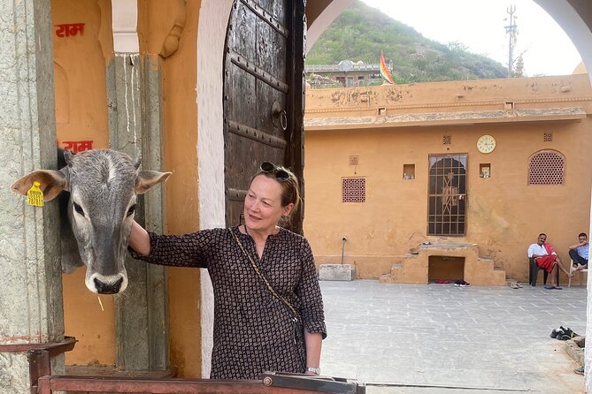 Full-Day Jaipur Sightseeing Private Tour - All Inclusive - Jantar Mantar: The UNESCO Stop That Makes You Look Up